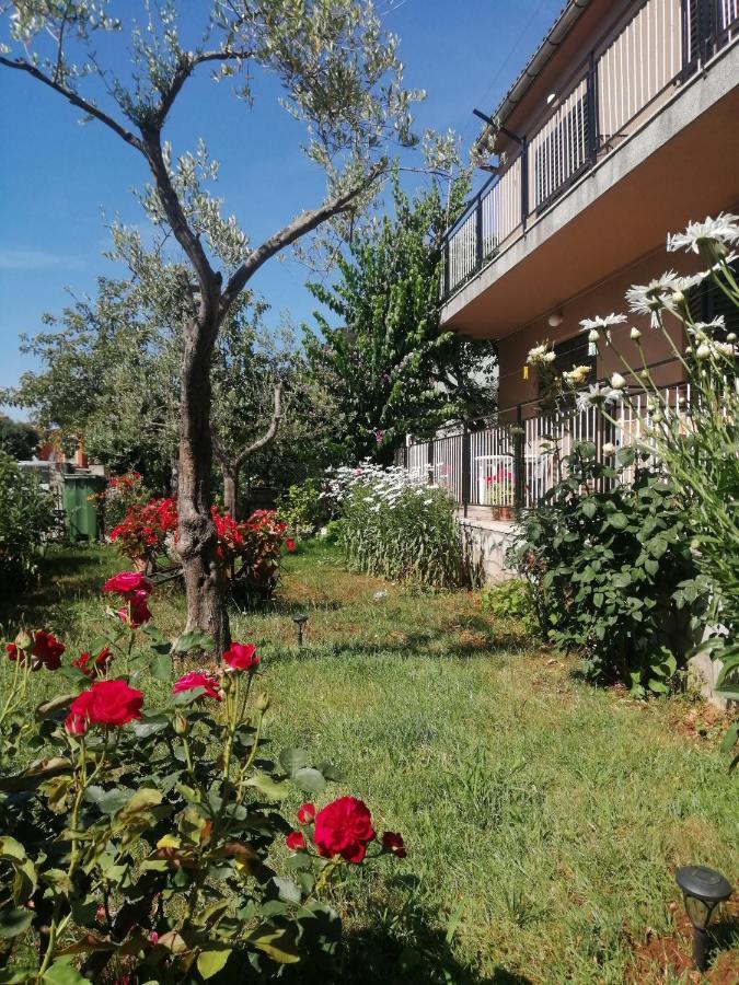 Apartment Vera, 80 M From The Sea Novigrad  Luaran gambar